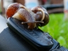 digikaamera-pentax-x70-test4.jpg