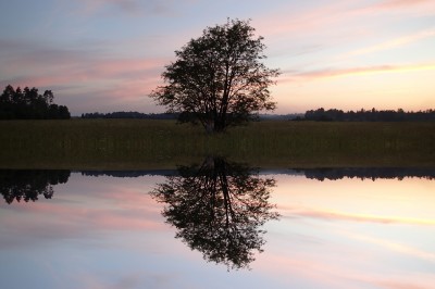 F/2.0 - 1/100s -25mm - ISO100 -  (P) Peegeldus