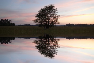 F/2.0 - 1/100s -25mm - ISO100 -  (P) Peegeldus