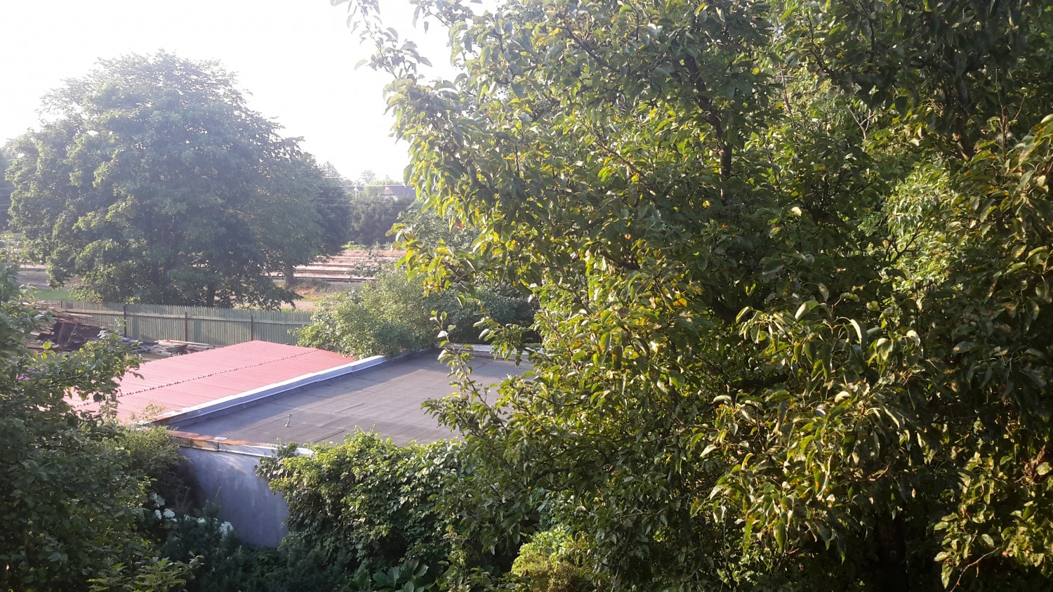 20140729_102828