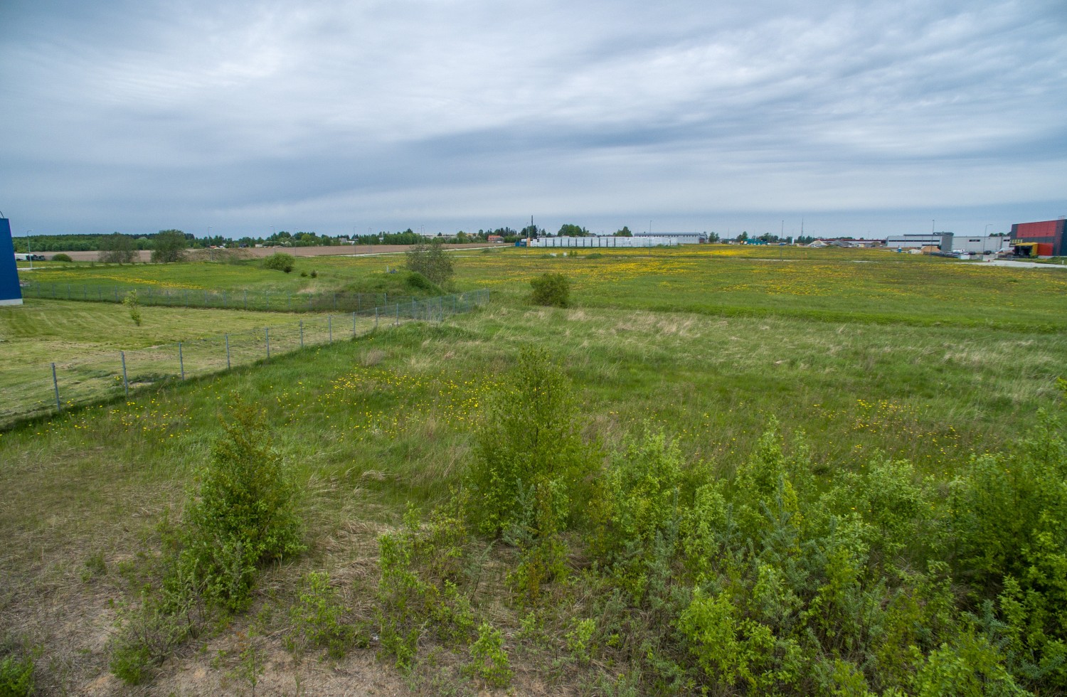 Natukene RAW converteris lõikamata foto Phantom 3st.