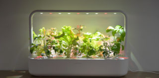 Click and Grow Smart Garden 9 – kasvata veelgi rohkem taimi korraga