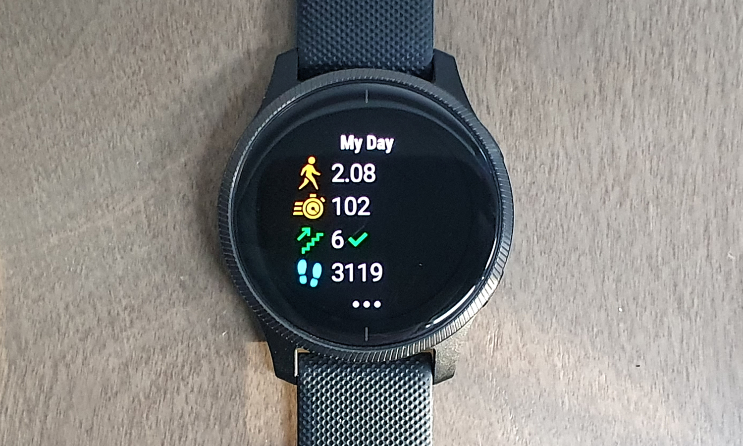 Garmin Venu