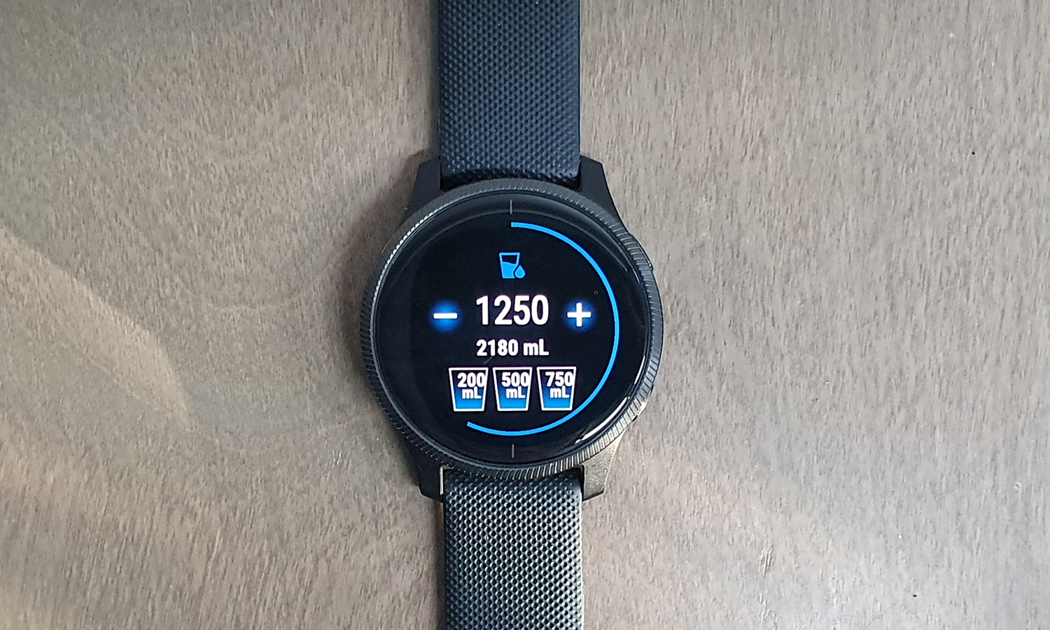 Garmin Venu