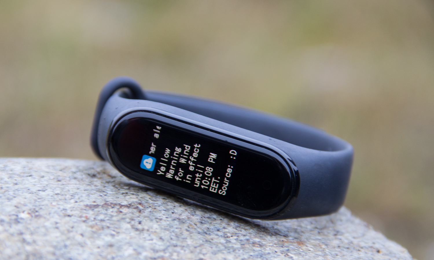 Xiaomi Mi Band 4