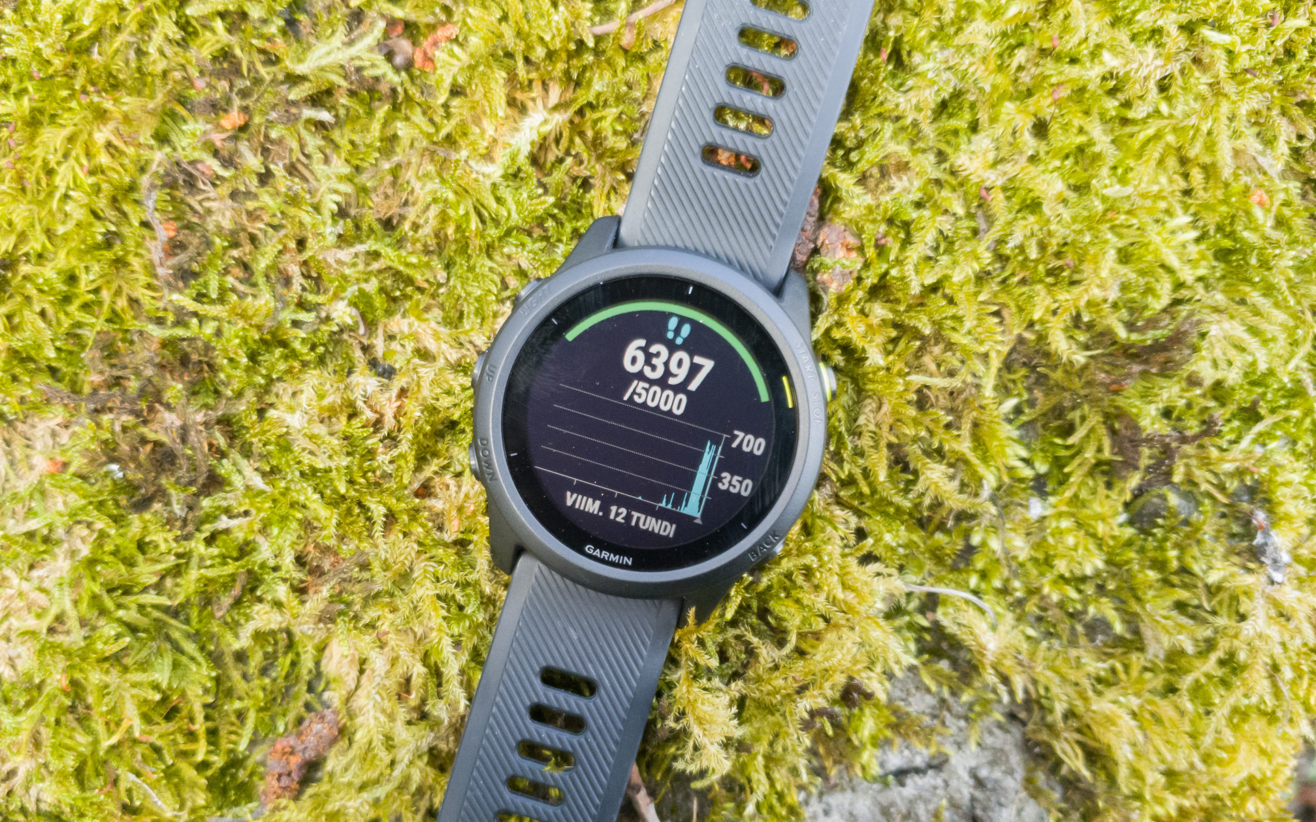 Garmin Forerunner 745