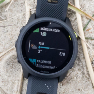 Garmin Forerunner 745