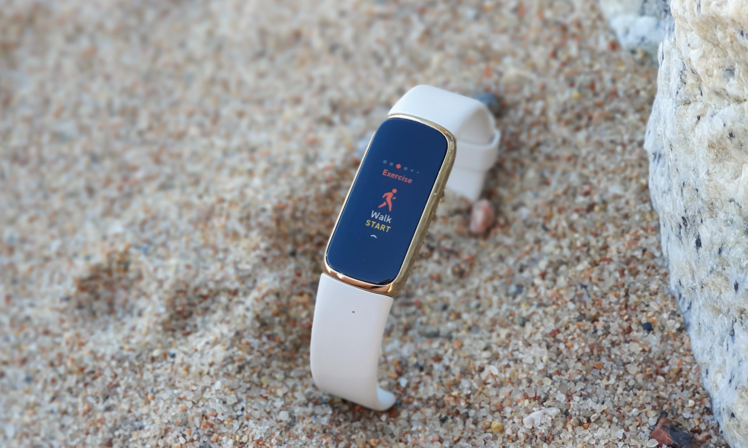 Fitbit Luxe