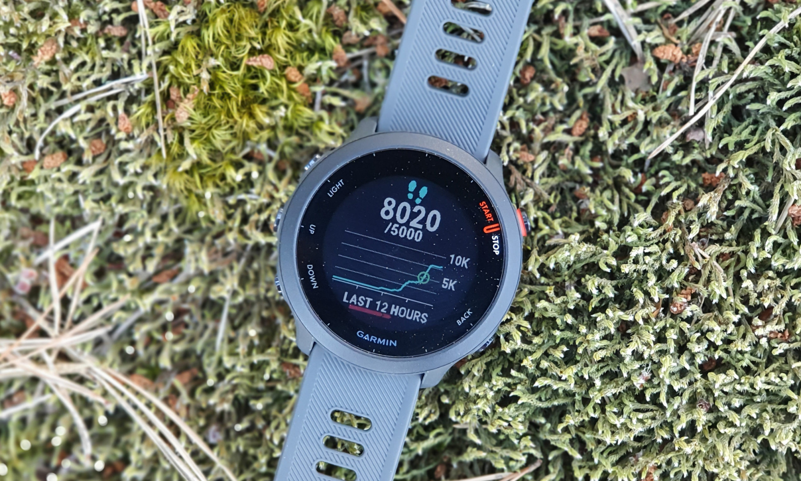 Garmin Forerunner 55