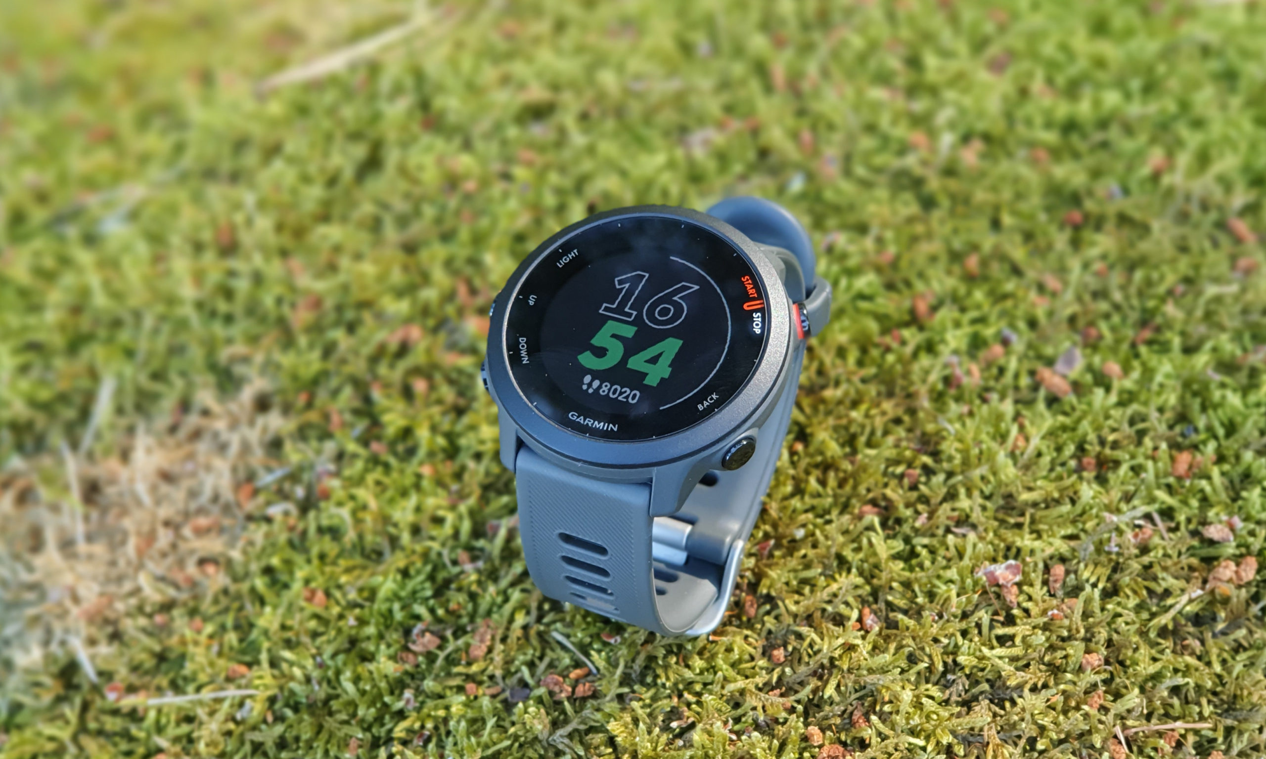 Garmin Forerunner 55