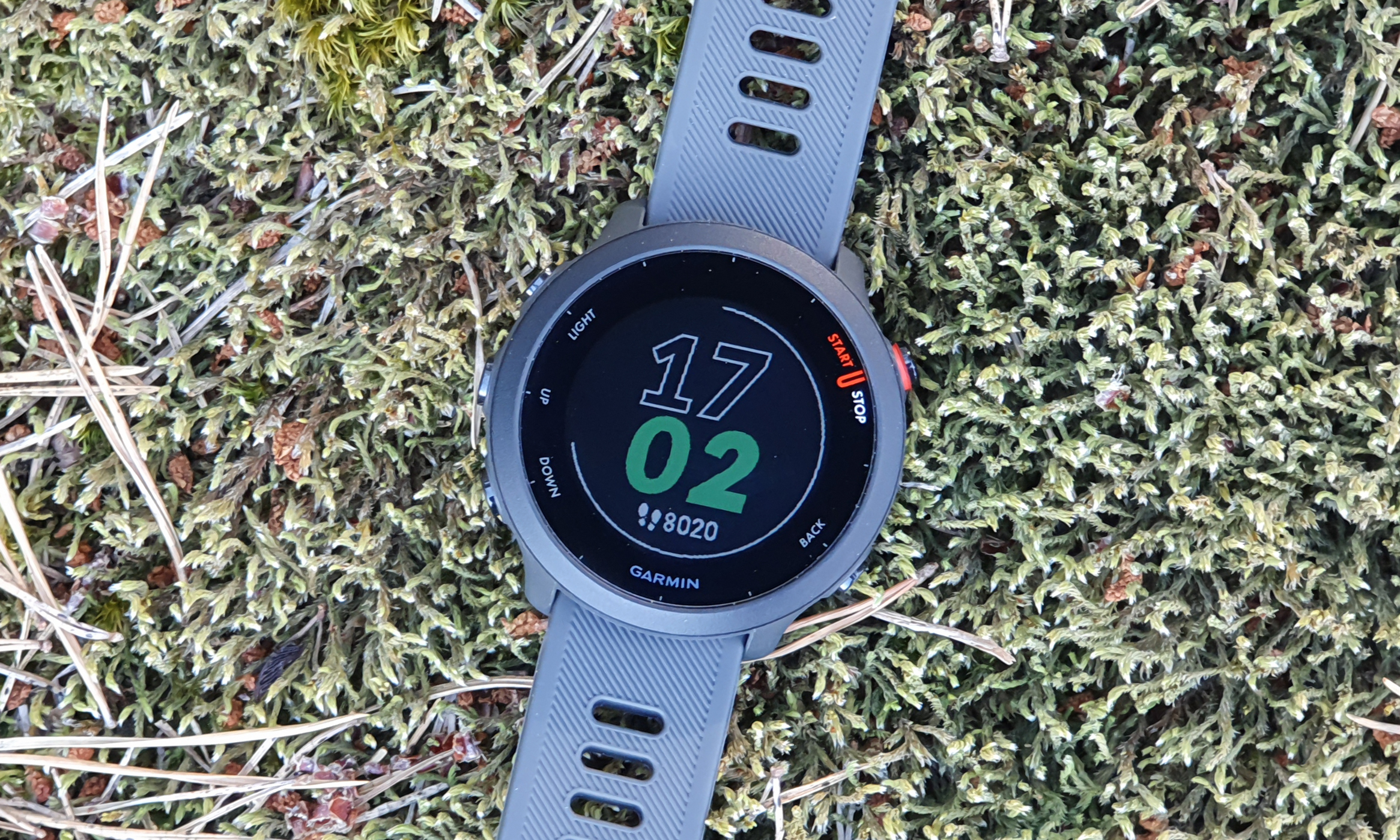 Garmin Forerunner 55