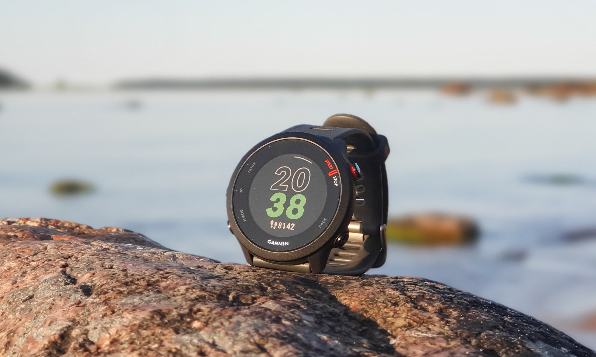 Garmin Forerunner 55