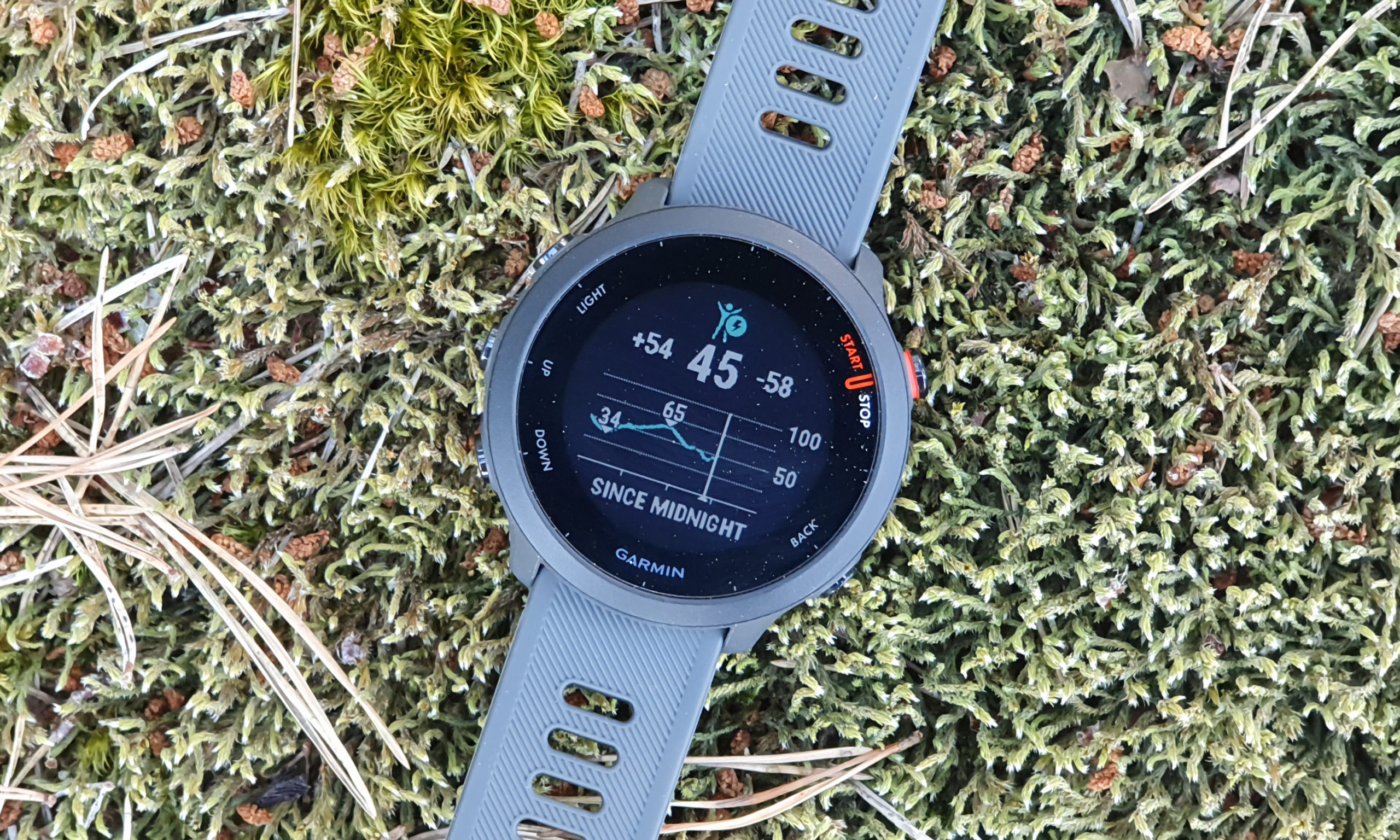 Garmin Forerunner 55