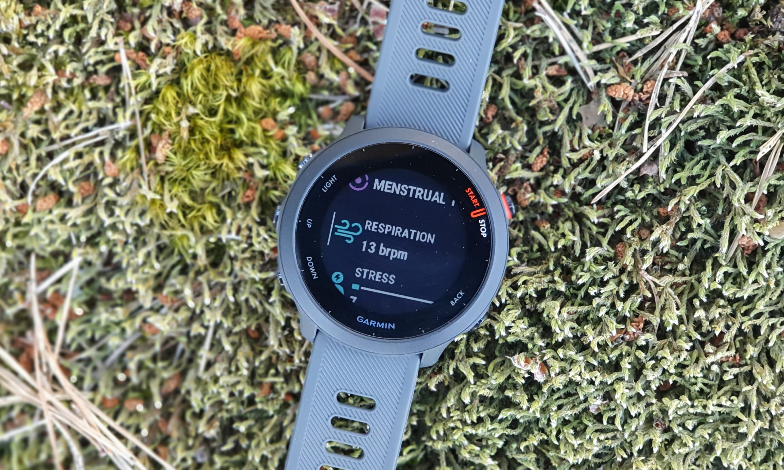 Garmin Forerunner 55