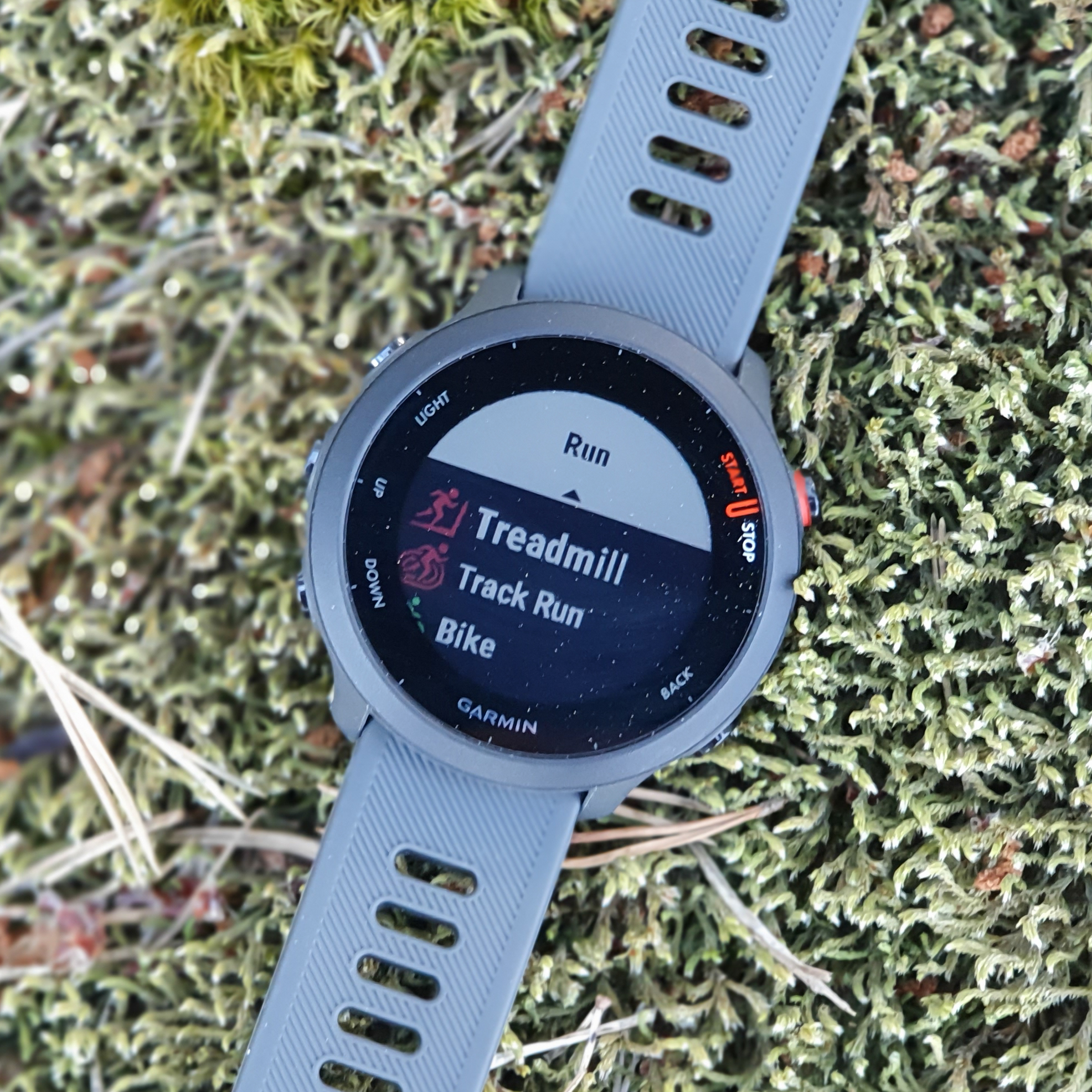 Garmin Forerunner 55