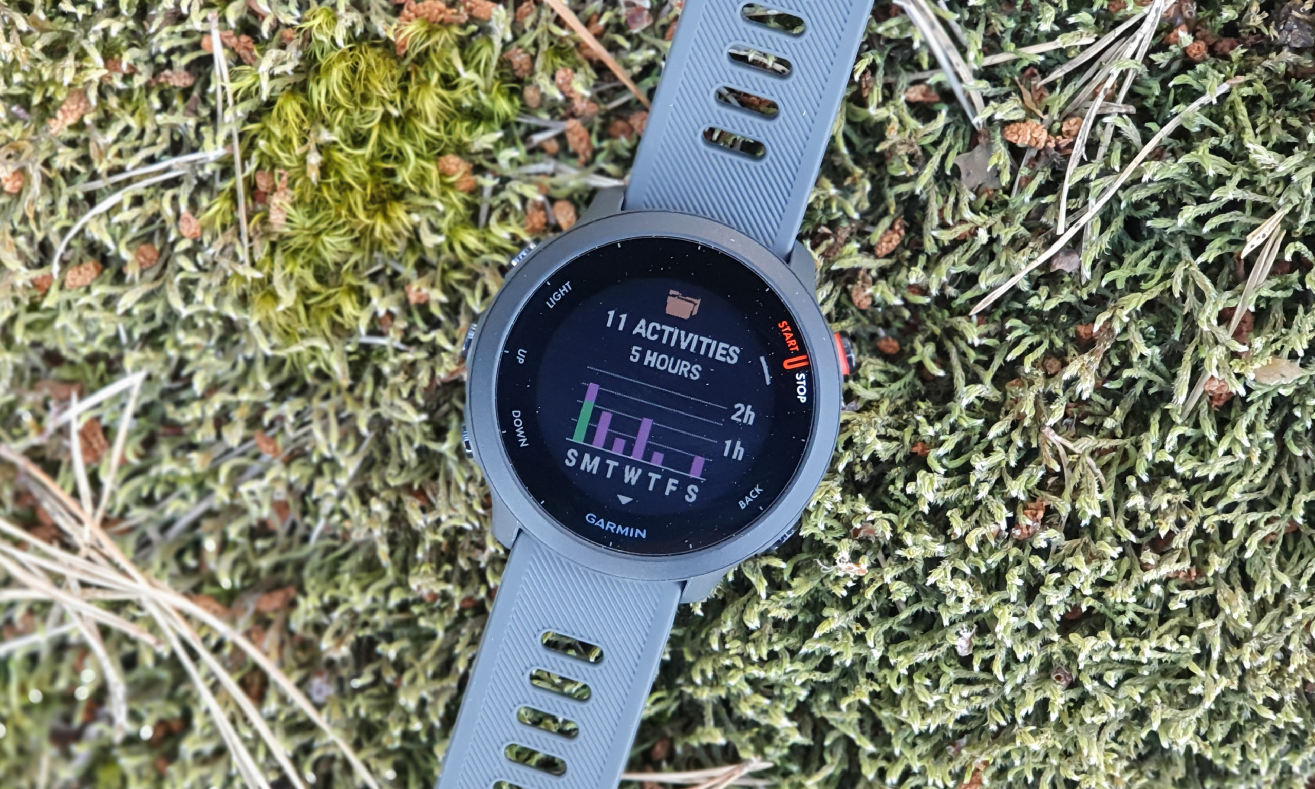 Garmin Forerunner 55