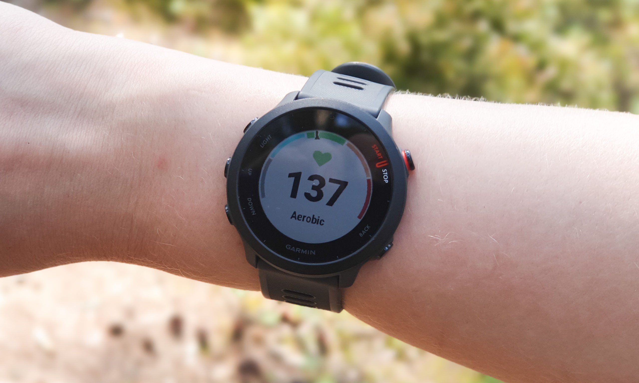 Garmin Forerunner 55