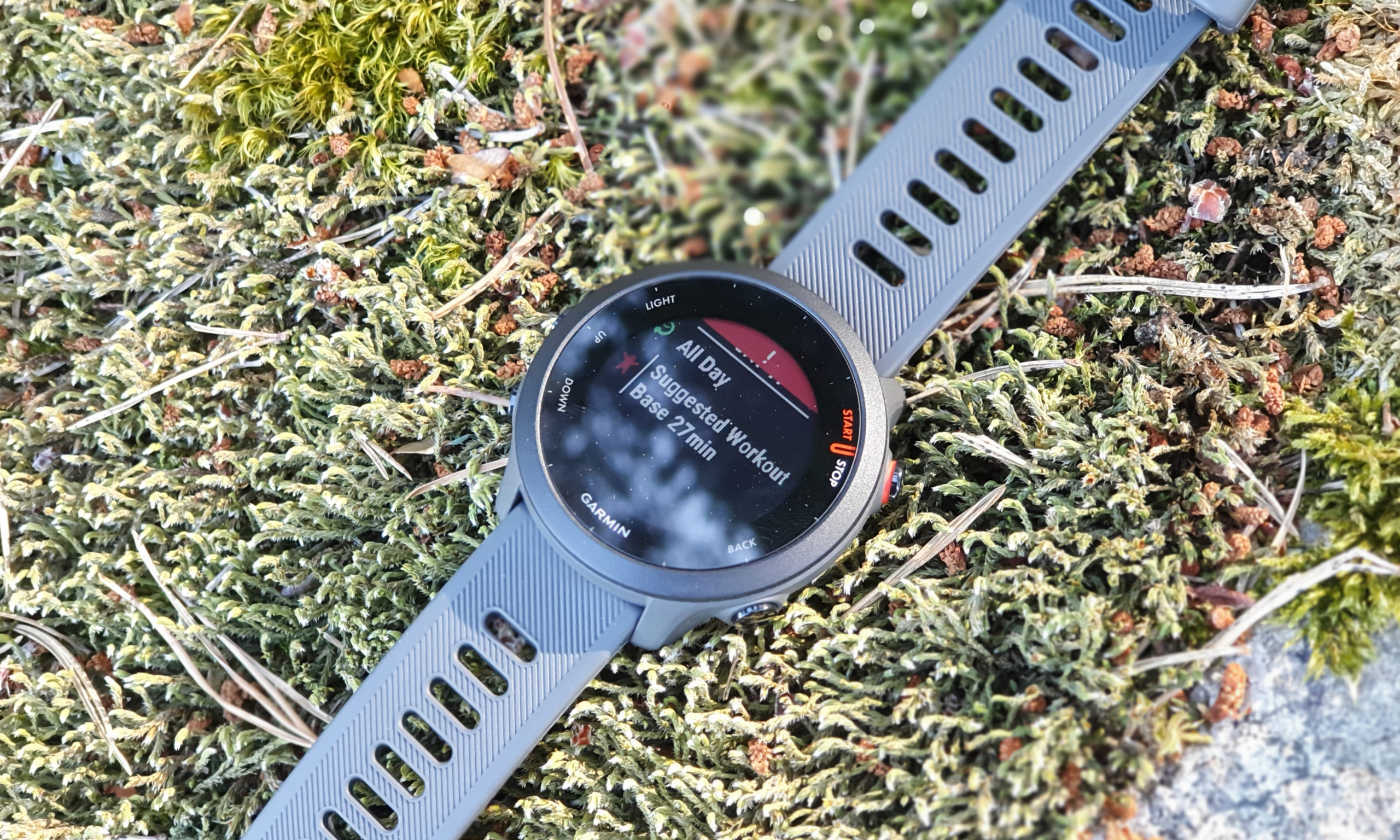 Garmin Forerunner 55