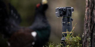 Pentax KF – Sinu loodusfotograafia teekond algab siit