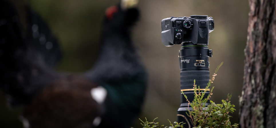 Pentax KF – Sinu loodusfotograafia teekond algab siit