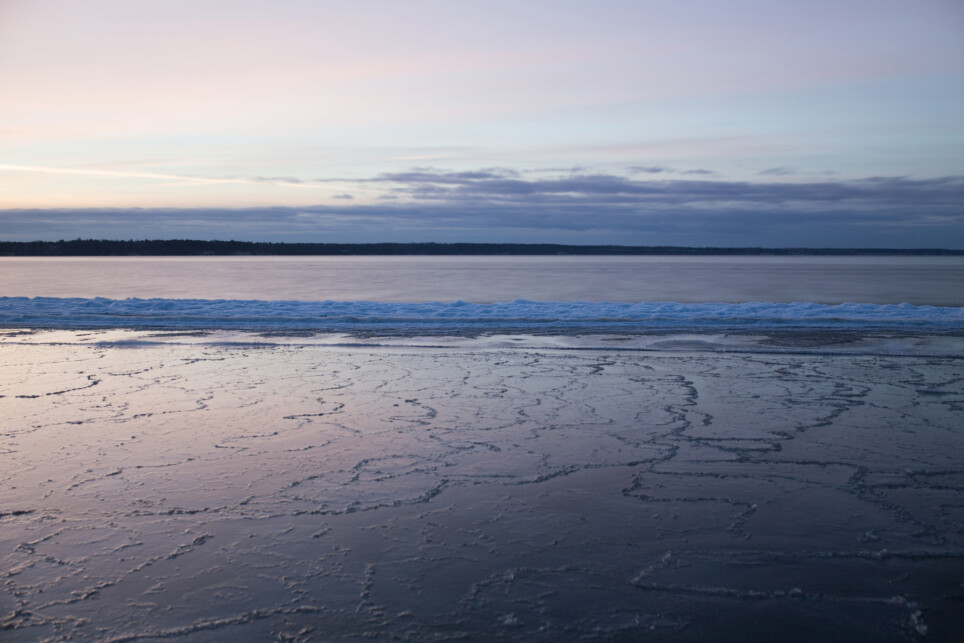 Säriaeg 30 sek | Ava f/4.5 | Tundlikkus ISO 100