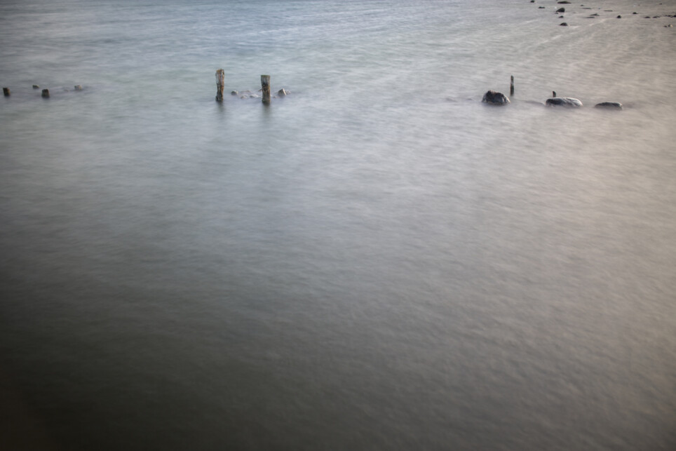 Säriaeg 8 sek | Ava f/1.4 | Tundlikkus ISO 100