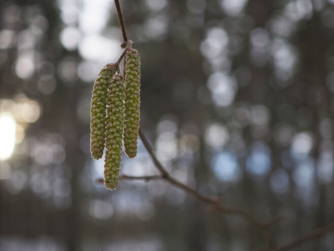 Säriaeg 1/200 sek | Ava f/3,5 | Tundlikkus ISO 400