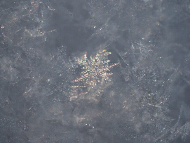 Säriaeg 1/2000 sek | Ava f/3,5 | Tundlikkus ISO 640