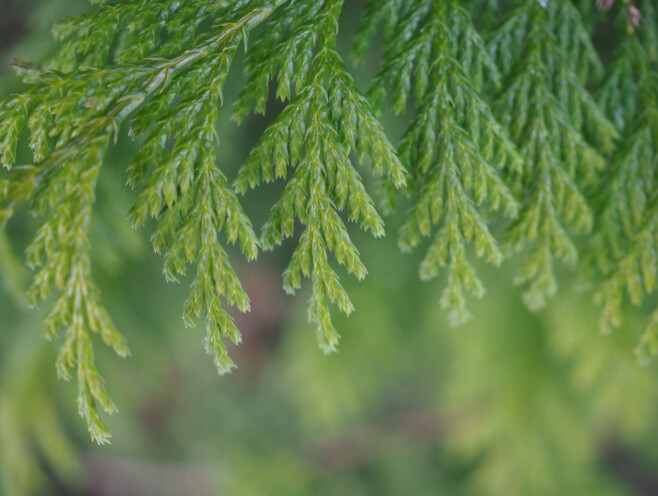 Säriaeg 1/60 sek | Ava f/3,5 | Tundlikkus ISO 1000