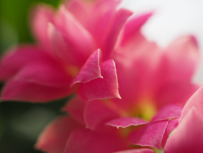 Säriaeg 1/60 sek | Ava f/3,5 | Tundlikkus ISO 320