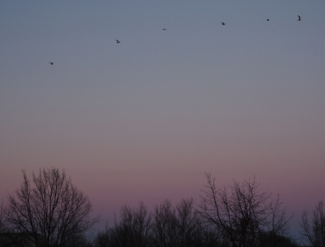 Säriaeg 1/500 sek | Ava f/4 | Tundlikkus ISO 640