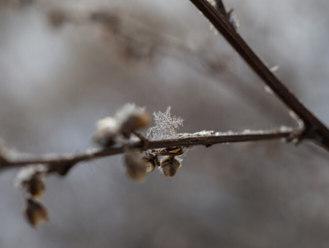 Säriaeg 1/125 sek | Ava f/5,6 | Tundlikkus ISO 200