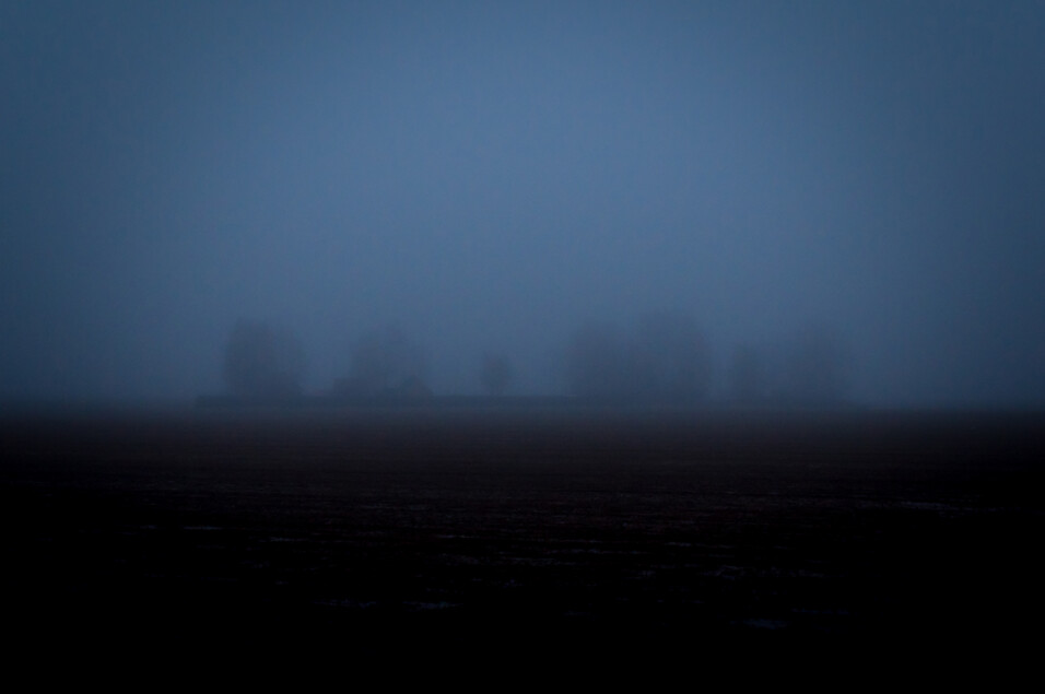 Pentax KP + HD Pentax D-FA 24-70mm f/2.8 ED SDM WR
1/80 sek säriaeg | ISO 1250 | 24 mm | f/5 ava Pentax KP + HD Pentax D-FA 24-70mm f/2.8 ED SDM WR 1/80 sek säriaeg | ISO 1250 | 24 mm | f/5 ava