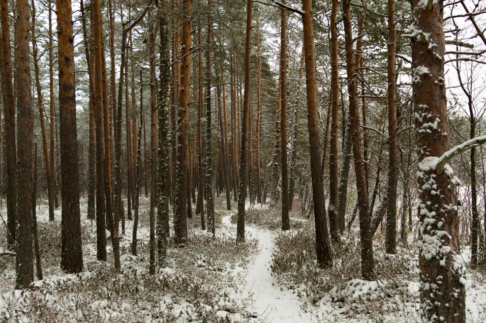 Pentax KP + HD Pentax D-FA 24-70mm f/2.8 ED SDM WR
1/100 sek säriaeg | ISO 200 | 24 mm | f/2.8 ava Pentax KP + HD Pentax D-FA 24-70mm f/2.8 ED SDM WR 1/100 sek säriaeg | ISO 200 | 24 mm | f/2.8 ava