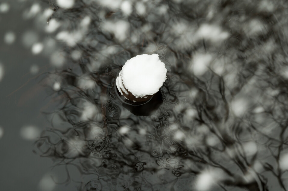 Pentax KP + HD Pentax D-FA 24-70mm f/2.8 ED SDM WR
1/100 sek säriaeg | ISO 500 | 53 mm | f/4.5 ava Pentax KP + HD Pentax D-FA 24-70mm f/2.8 ED SDM WR 1/100 sek säriaeg | ISO 500 | 53 mm | f/4.5 ava