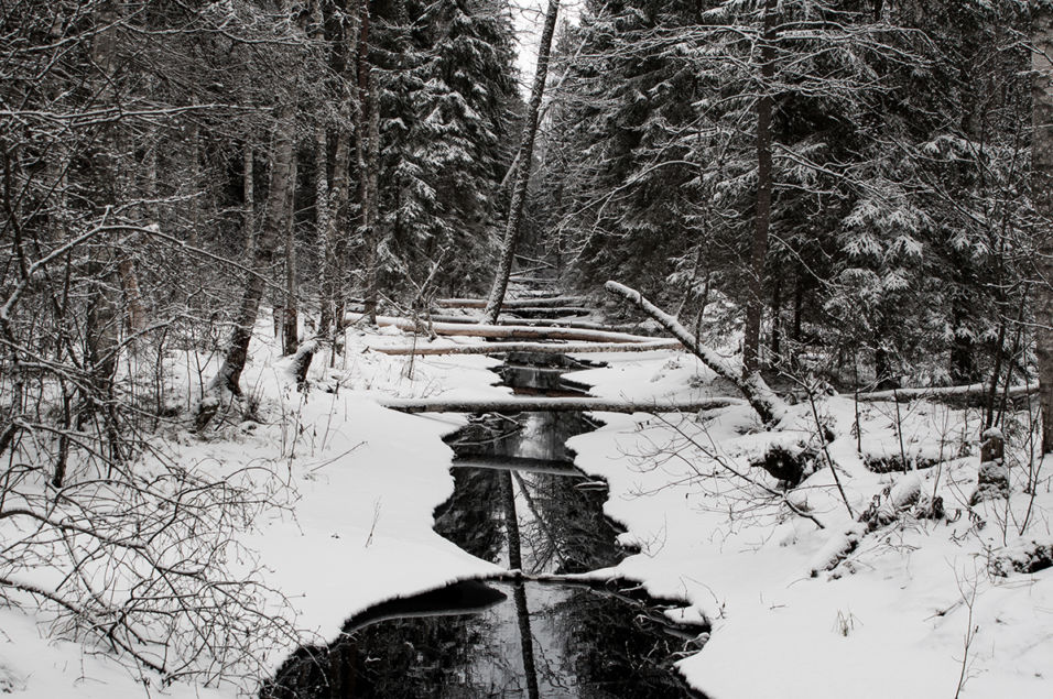 Pentax KP + HD Pentax D-FA 24-70mm f/2.8 ED SDM WR 1/200 sek säriaeg | ISO 200 | 24 mm | f/5.6 ava