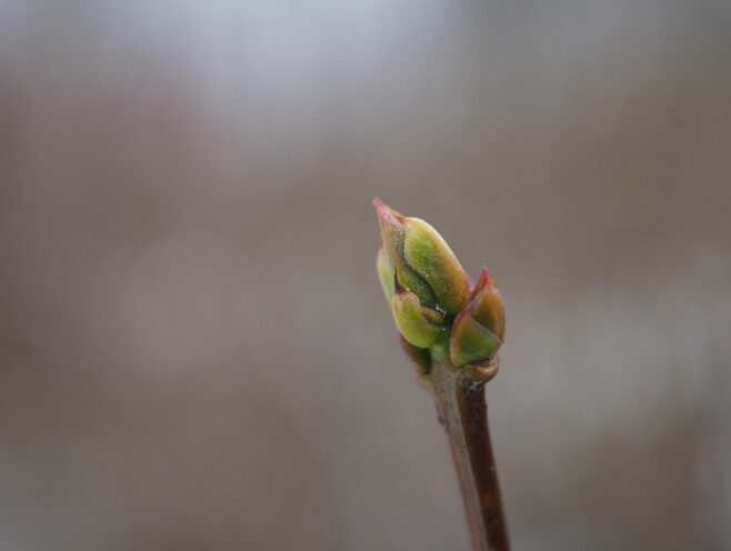 Säriaeg 1/100 sek | Ava f/3,5 | Tundlikkus ISO 200