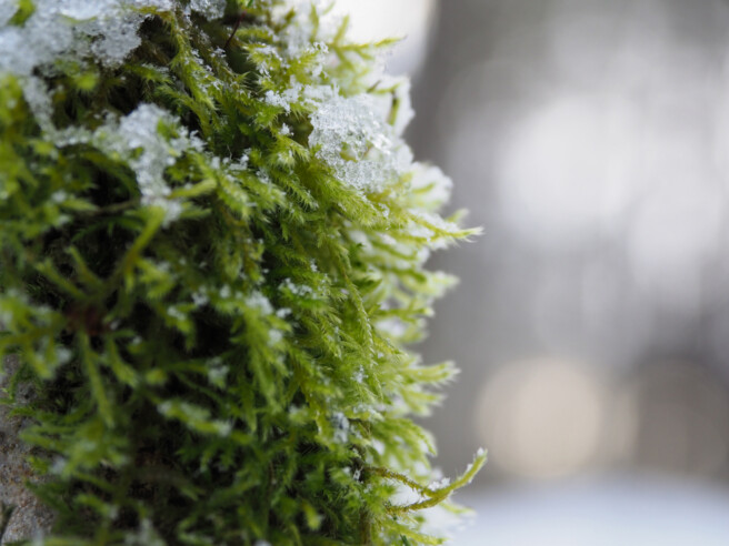 Säriaeg 1/100 sek | Ava f/4 | Tundlikkus ISO 640