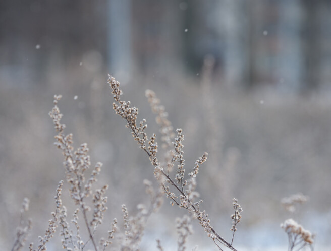 Säriaeg 1/200 sek | Ava f/4 | Tundlikkus ISO 200