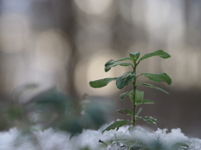 Säriaeg 1/200 sek | Ava f/4 | Tundlikkus ISO 400