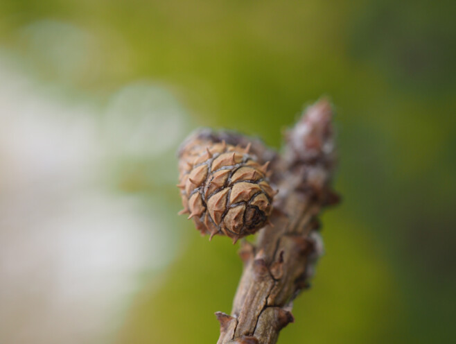 Säriaeg 1/500 sek | Ava f/4 | Tundlikkus ISO 320