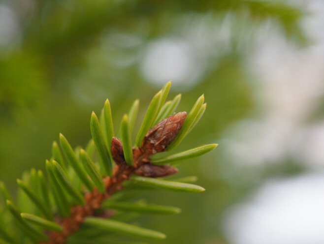Säriaeg 1/500 sek | Ava f/4 | Tundlikkus ISO 400