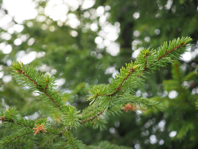 Säriaeg 1/500 sek | Ava f/4 | Tundlikkus ISO 640