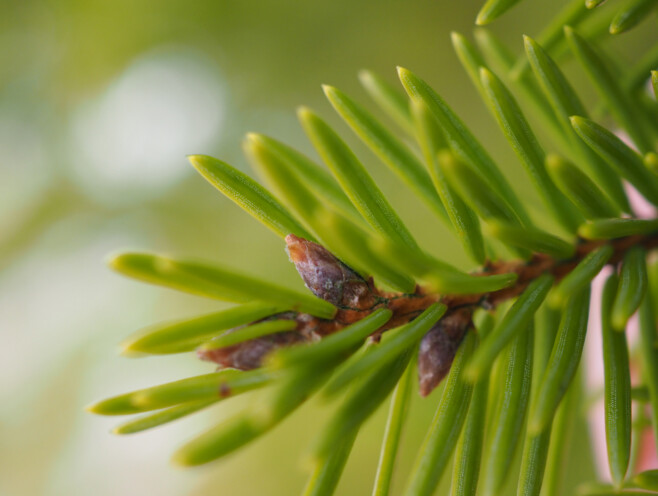 Säriaeg 1/500 sek | Ava f/4 | Tundlikkus ISO 640