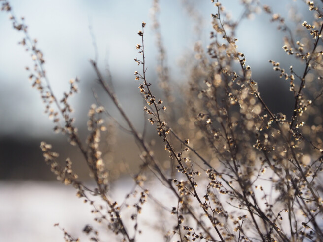 Säriaeg 1/5000 sek | Ava f/4 | Tundlikkus ISO 640