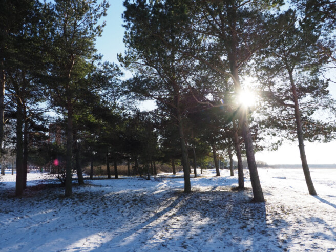 Säriaeg 1/640 sek | Ava f/8 | Tundlikkus ISO 640