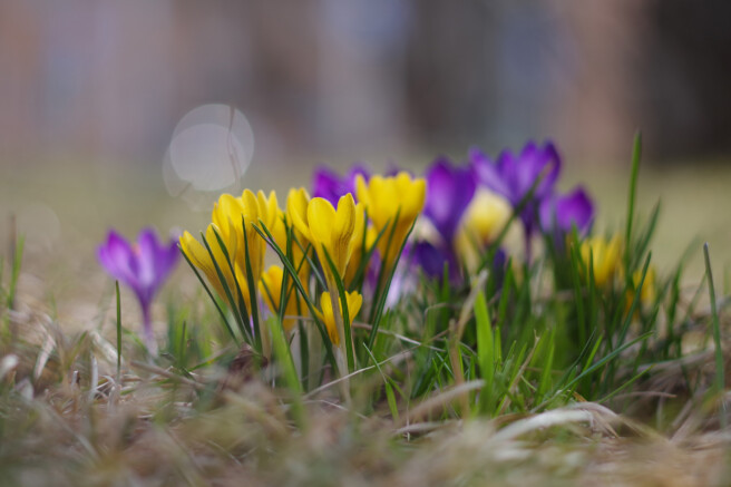 Säriaeg 1/640 sek | Ava f/2,4 | Tundlikkus ISO 100