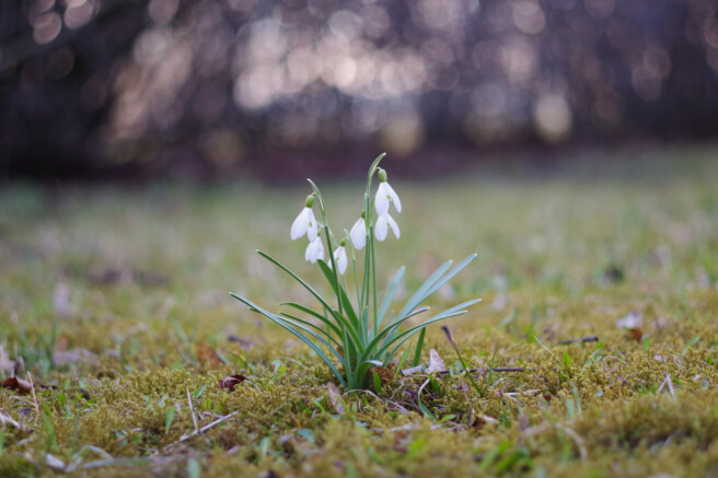 Säriaeg 1/1250 sek | Ava f/2,8 | Tundlikkus ISO 800