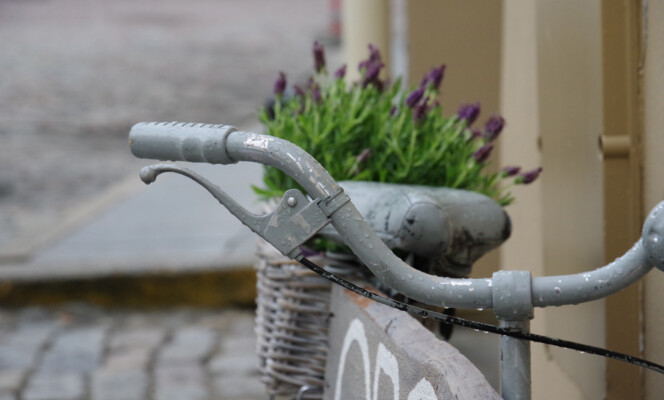 Säriaeg 1/320 sek | Ava f/5,6 | Tundlikkus ISO 2000