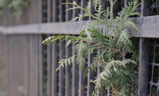 Säriaeg 1/320 sek | Ava f/5,6 | Tundlikkus ISO 3200